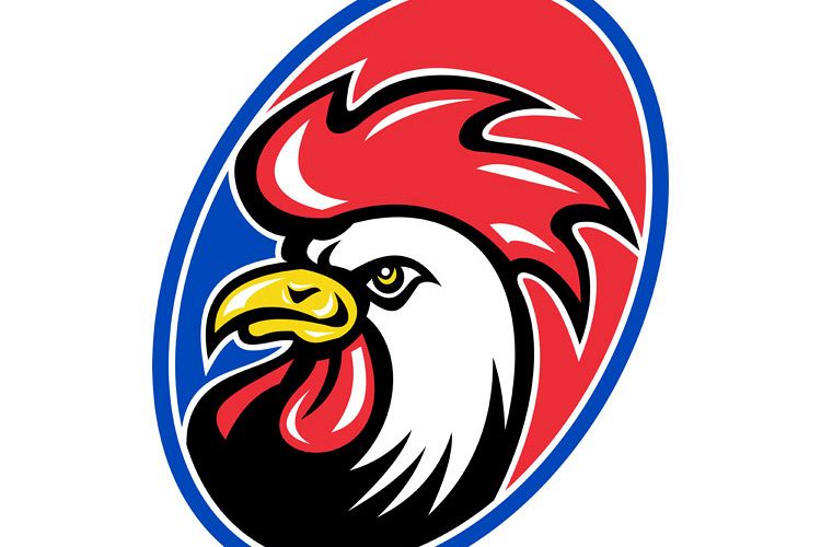 rooster cockerel head facing side example image 1