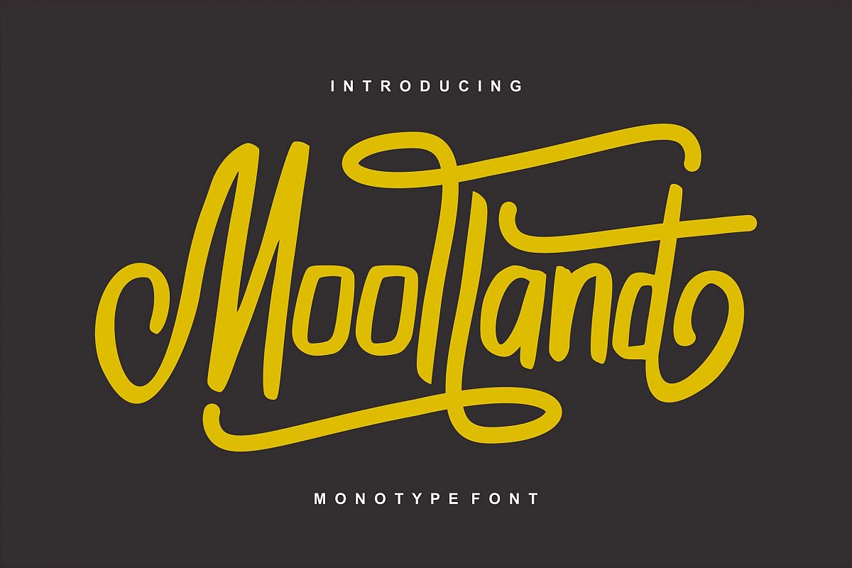 Moolland | Monotype Script Font example image 1
