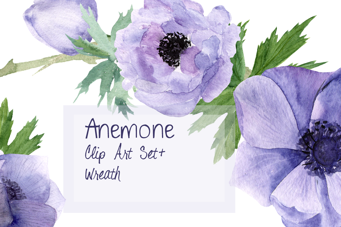 Purple Anemone Watercolor Clip Art Set + Wreath example image 1