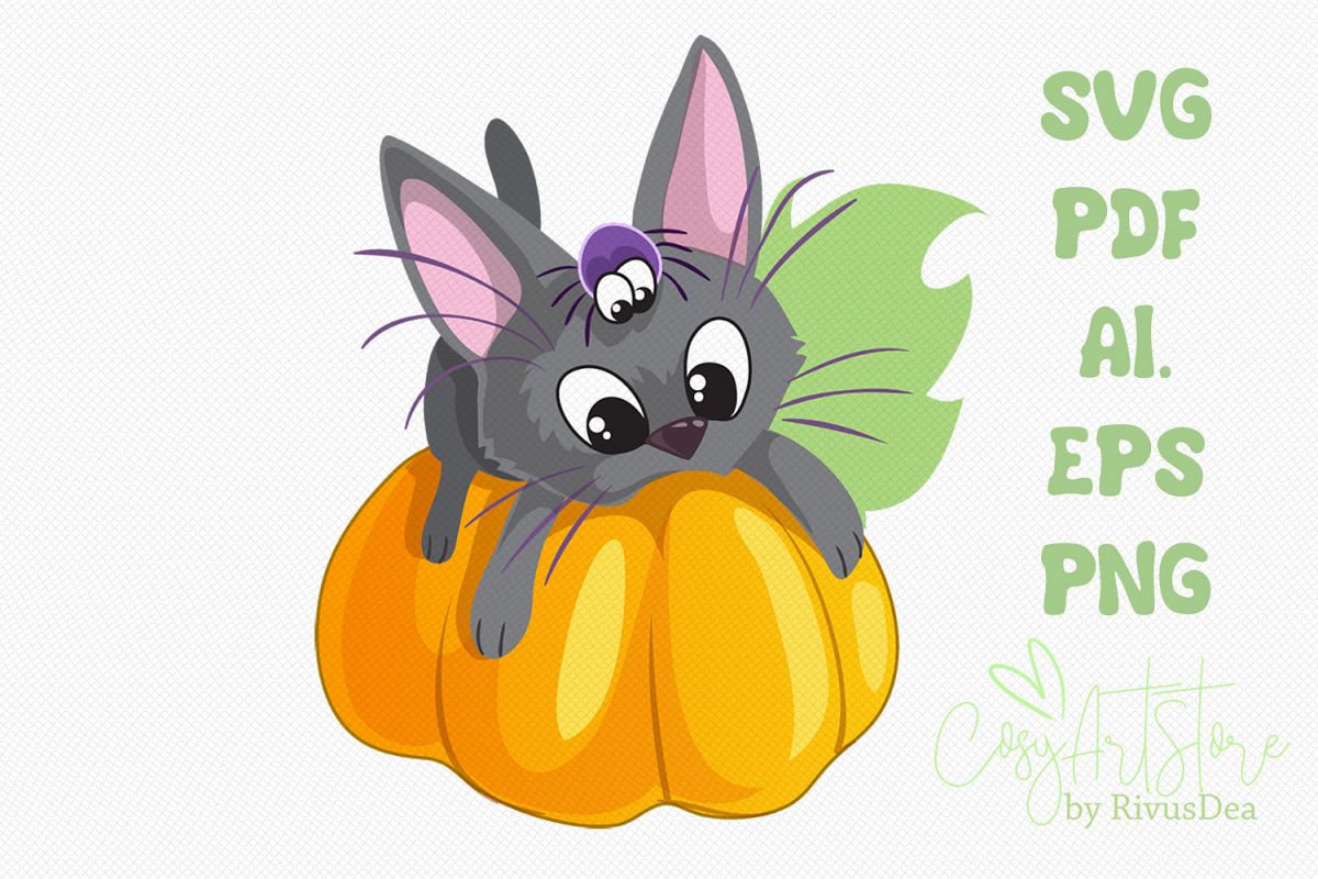 Black kitten on Pumpkin SVG download, Cute cat PNG example image 1