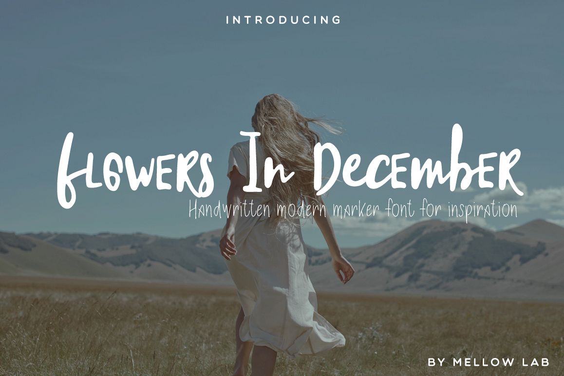 Flowers In December Font Duo example image 1