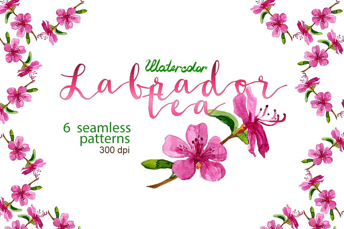 Watercolor Labrador tea patterns example image 1