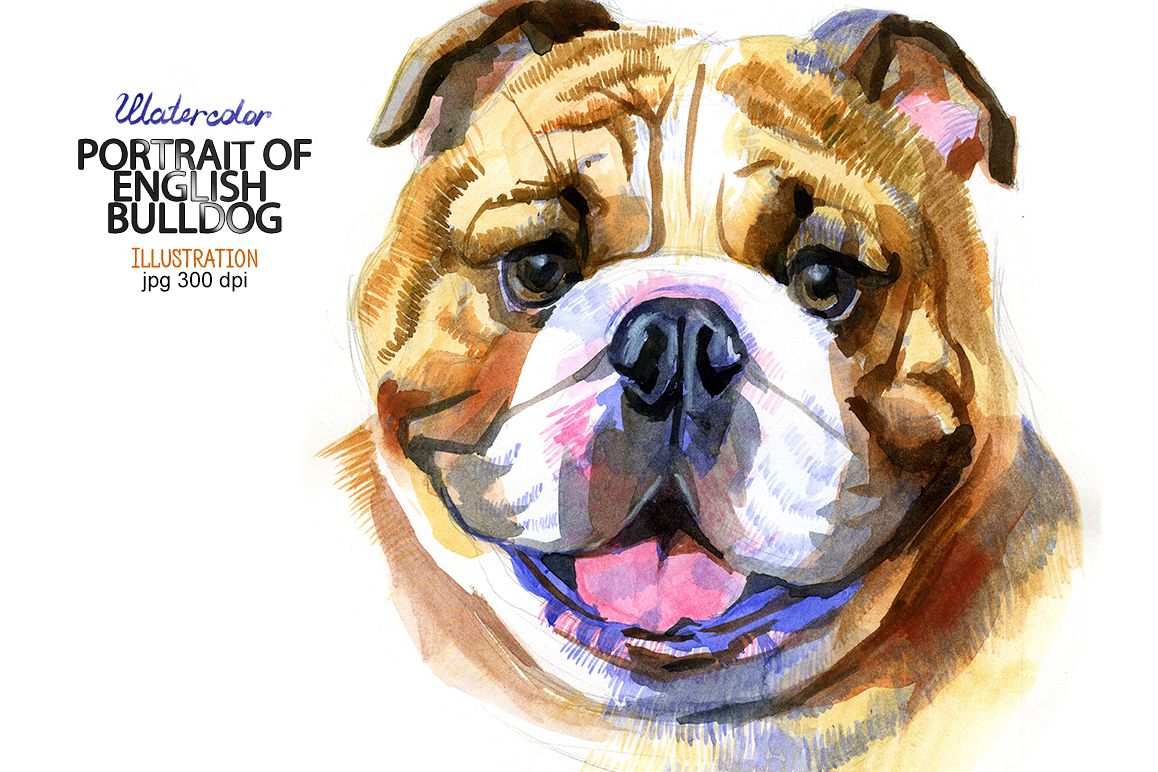 Watercolor English bulldog example image 1