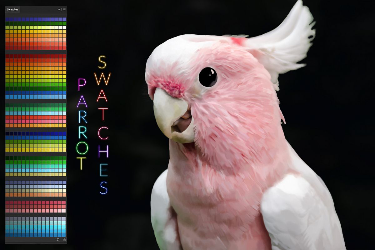 Parrot Swatches example image 1