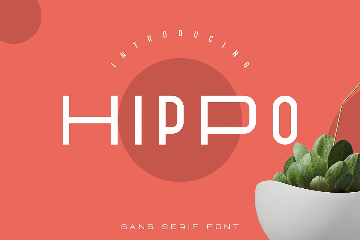 Hippo Sans Serif | 3 styles example image 1