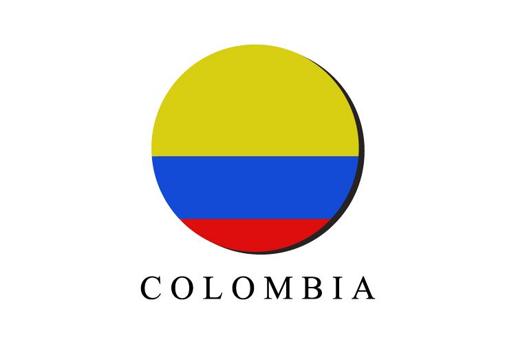 Colombian flag example image 1