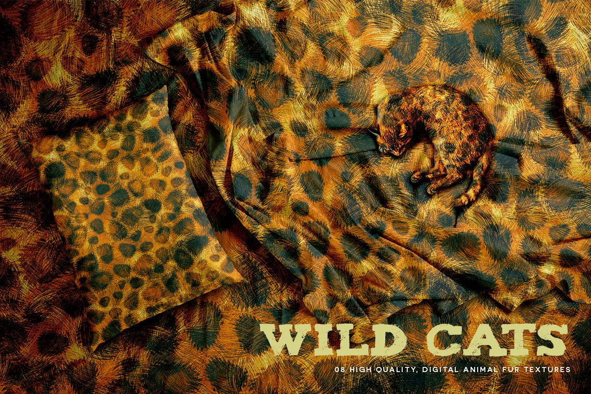 Wild Cats example image 1
