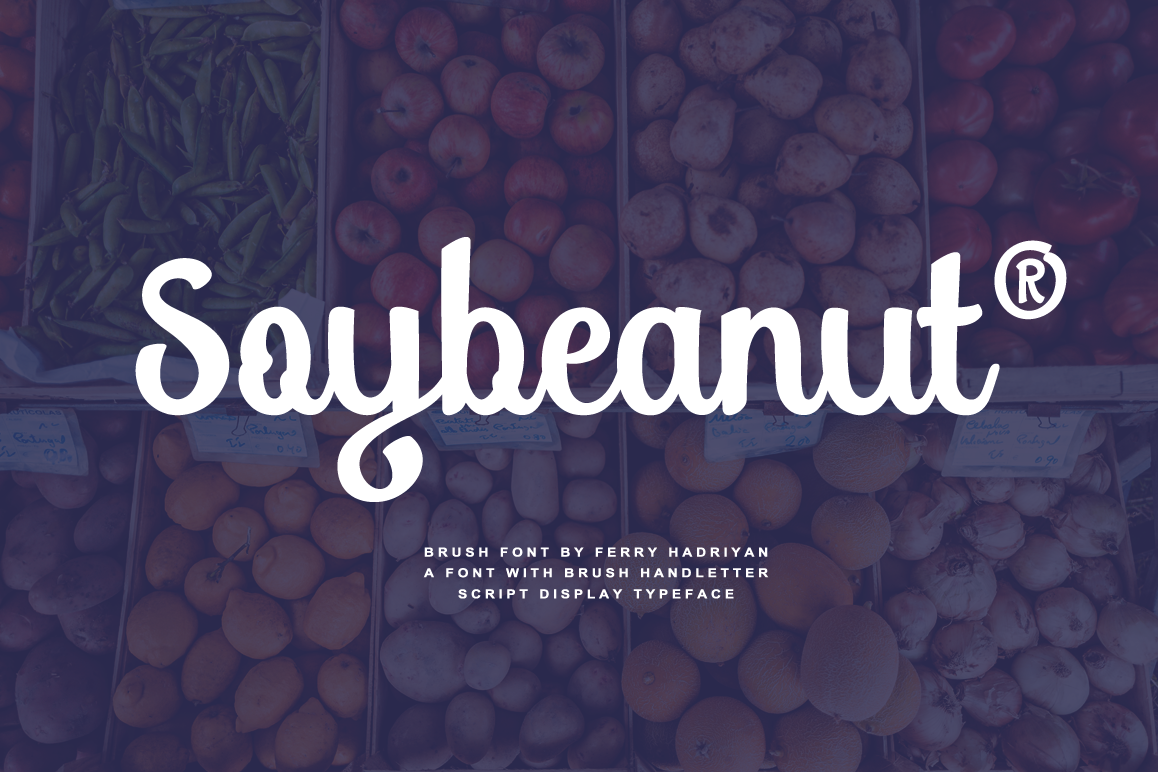 Soybeanut - Brush Script Font example image 1