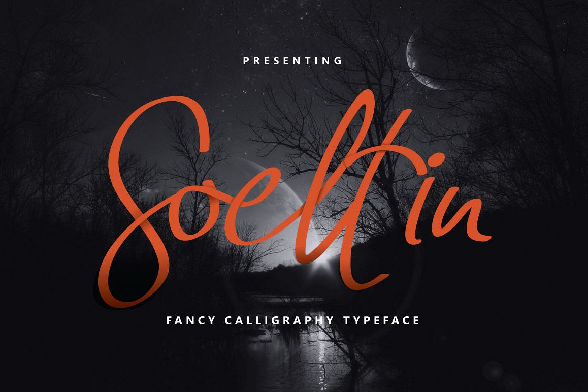Soeltin Typeface example image 1