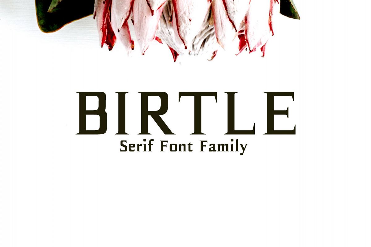 Birtle Serif Font Family example image 1