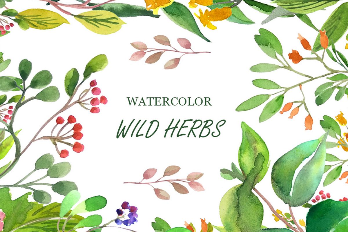Wilde Herbs Watercolor Set example image 1