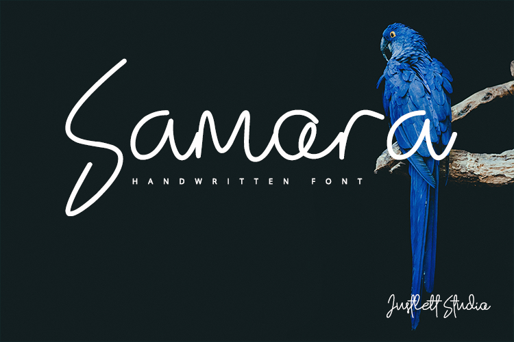 Samora example image 1
