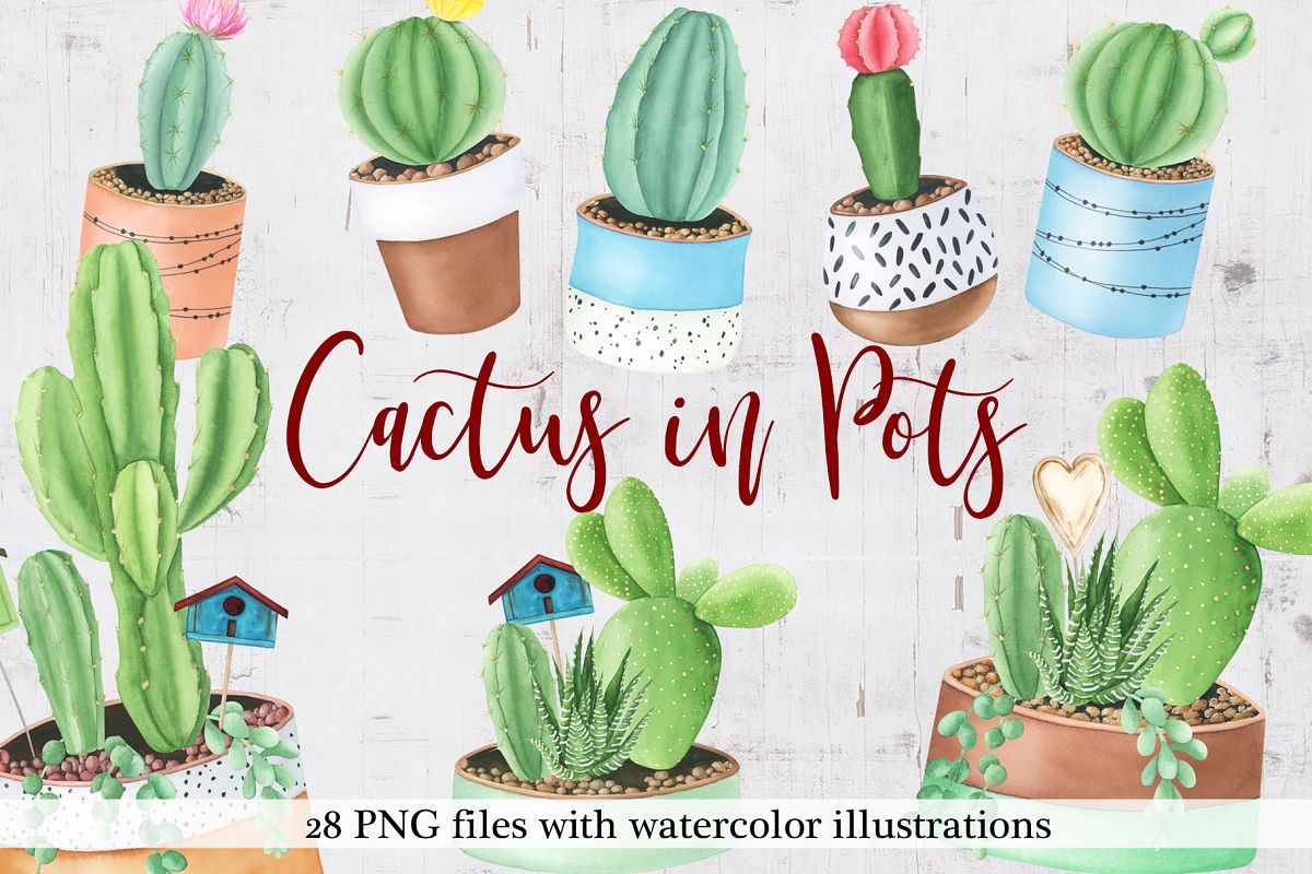 Watercolor Cactus in Pots example image 1