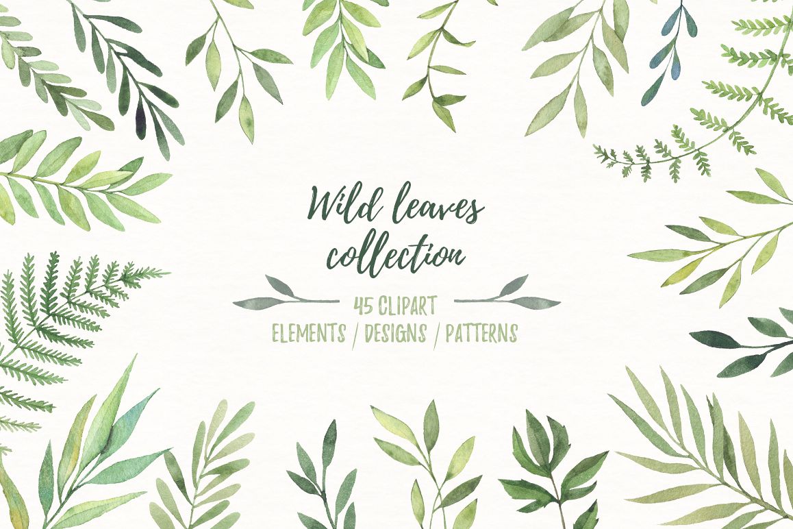 Wild leaves clip art. Watercolor set (39651) | Illustrations | Design