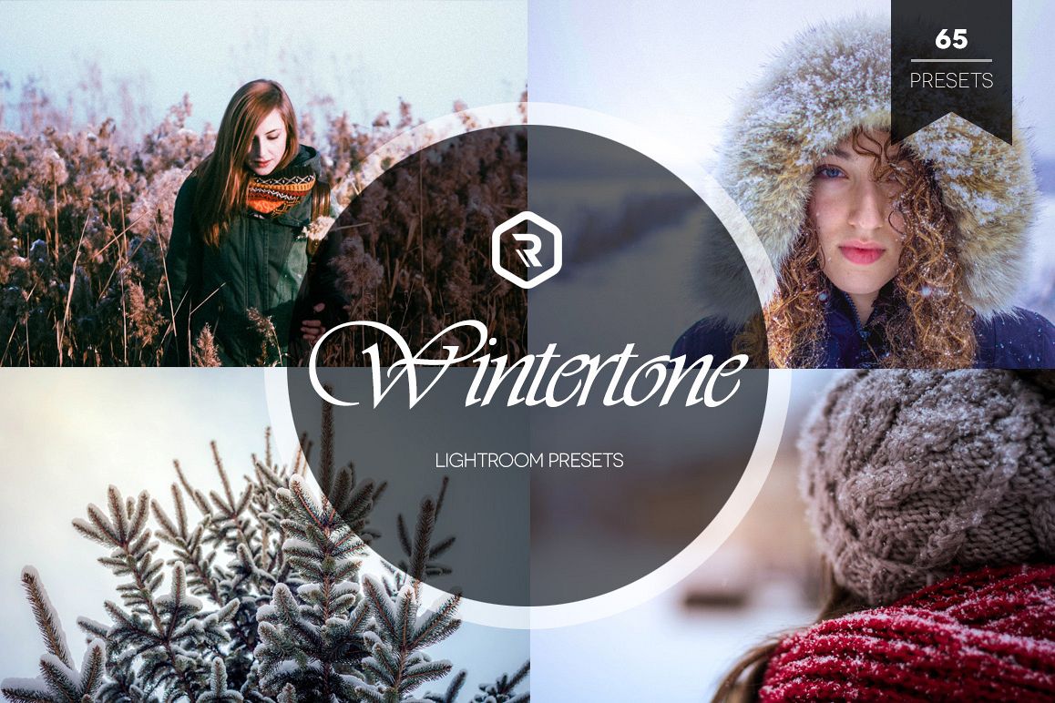 Wintertone Lightroom Presets example image 1