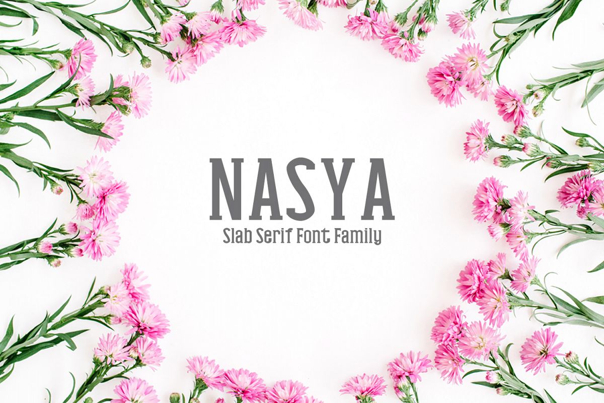Nasya Slab Serif 4 Font Family Pack example image 1