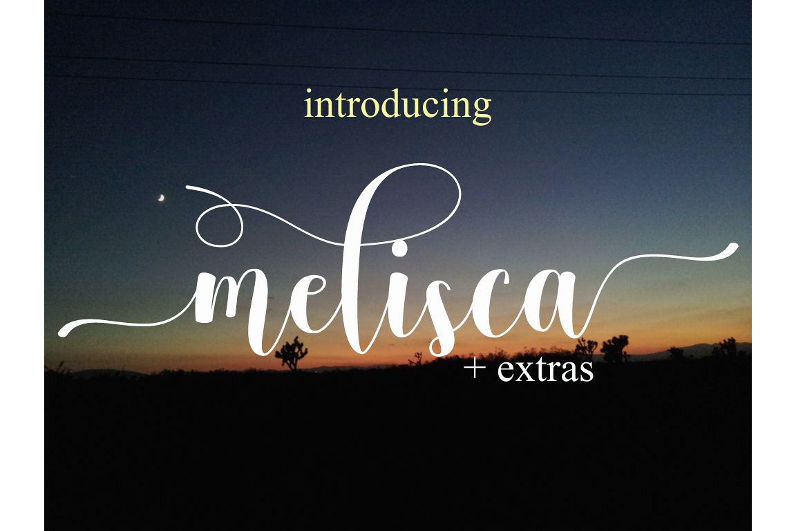 melisca example image 1