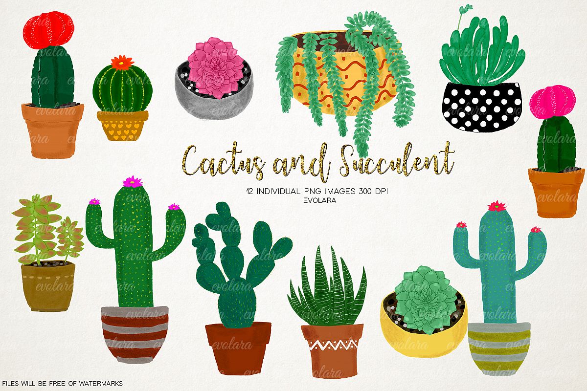 Boho Cactus Clipart Succulents Clipart Plant Clipart Cactus example image 1
