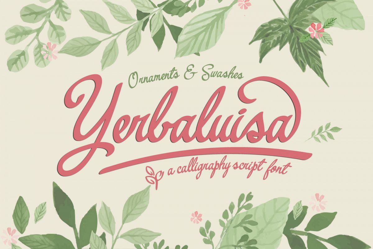 Yerbaluisa example image 1