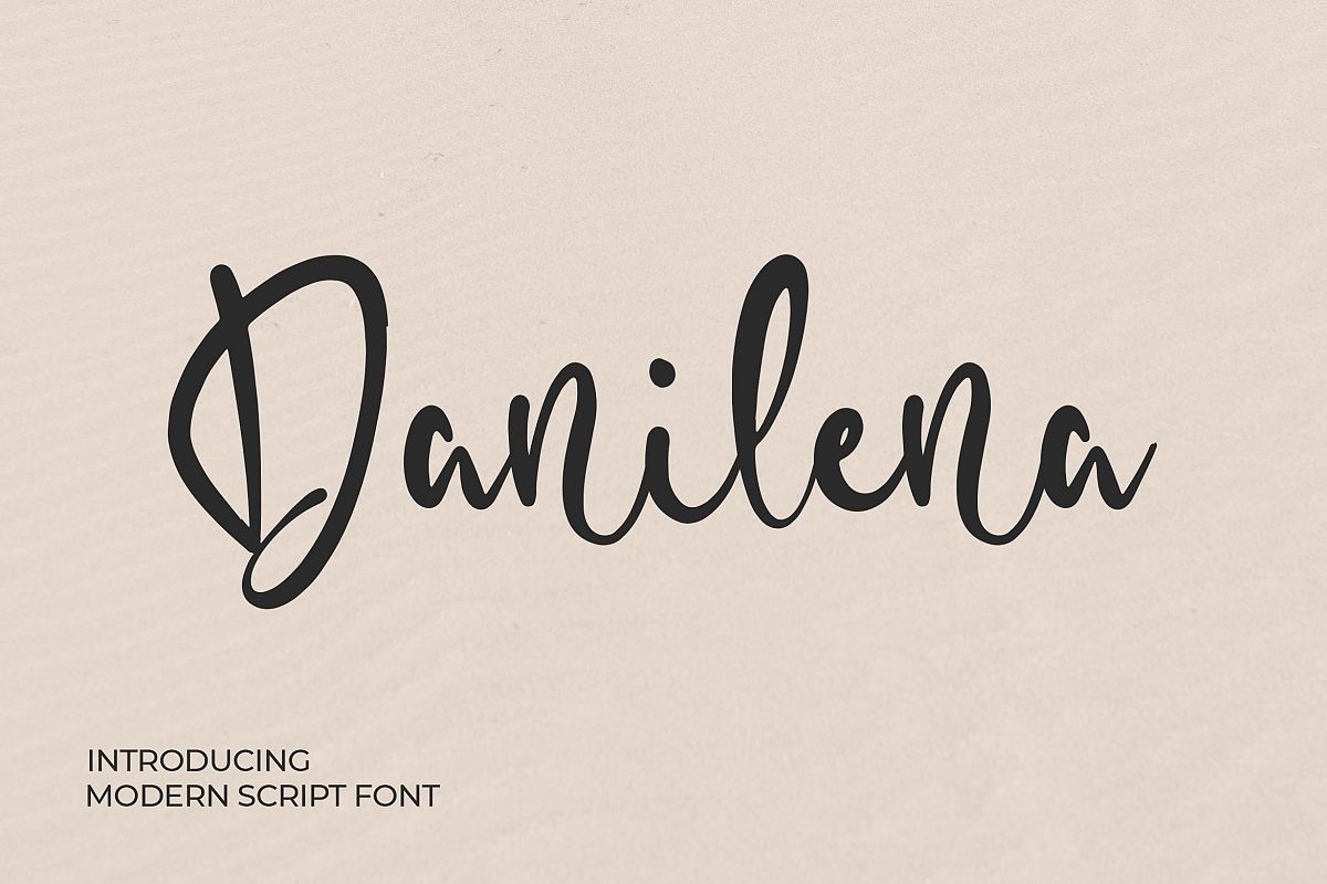 Danilena - Modern Script Font example image 1