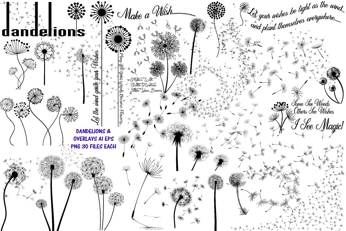 Dandelions and Overlays and Word Art AI EPS PNG example image 1