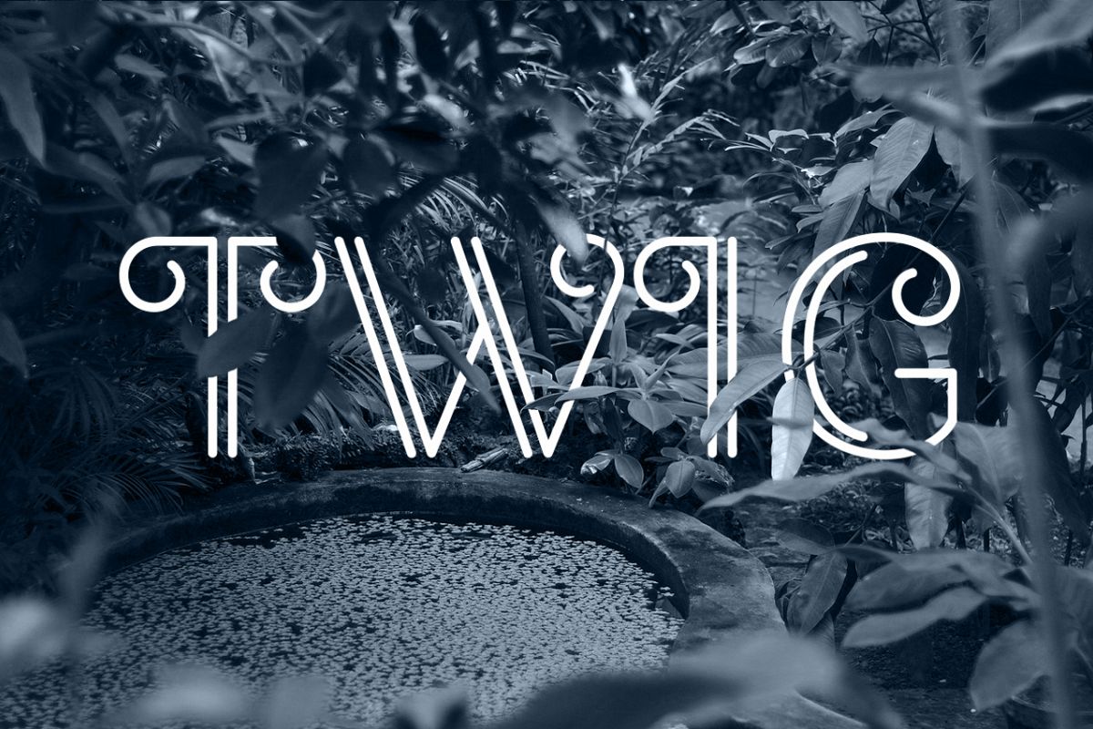 TWIG example image 1
