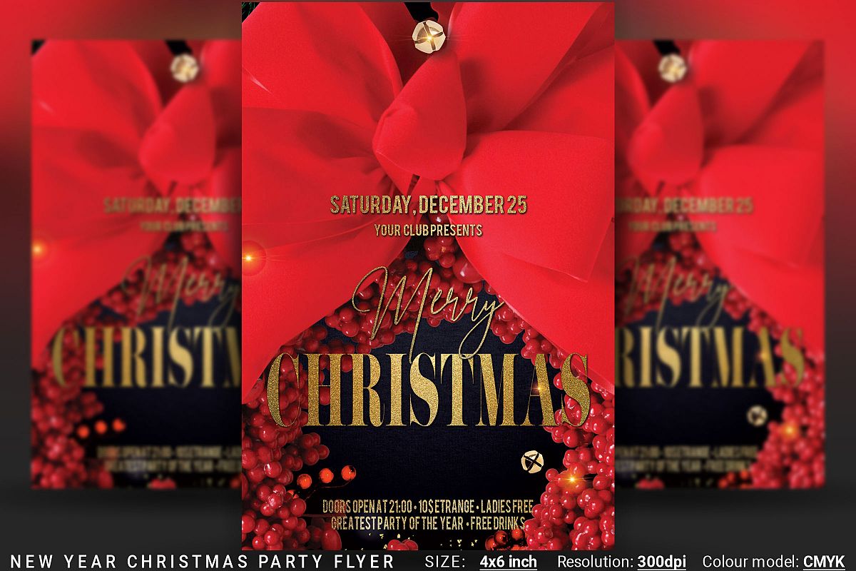 Christmas New Year Party Flyer example image 1