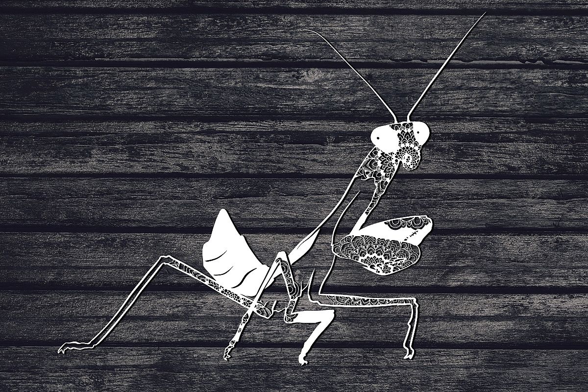 Praying Mantis Svg, Mandala Svg, Insect Svg, Animal Svg example image 1