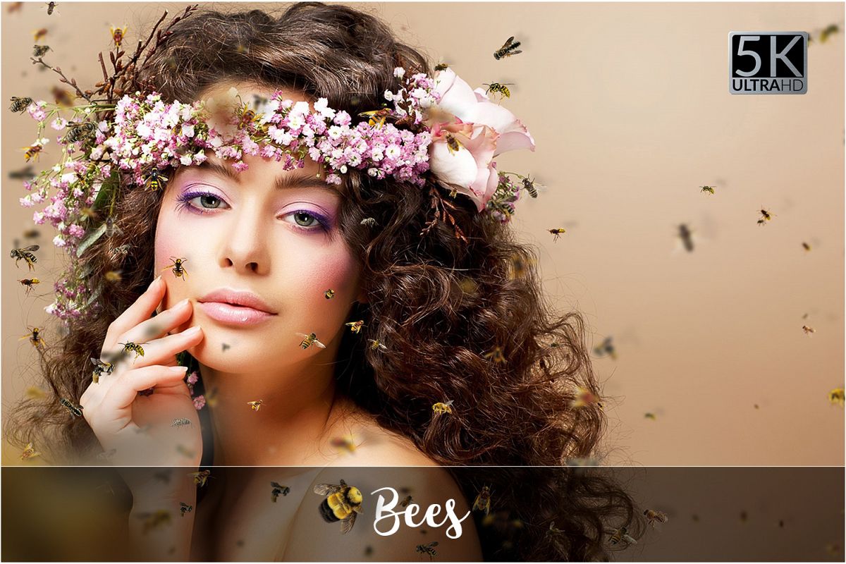 5K Bees Overlays example image 1