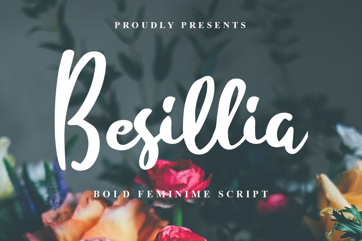 Besillia example image 1