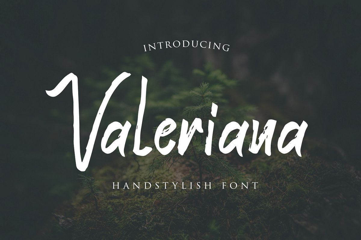 Valeriana Handstylish Font example image 1