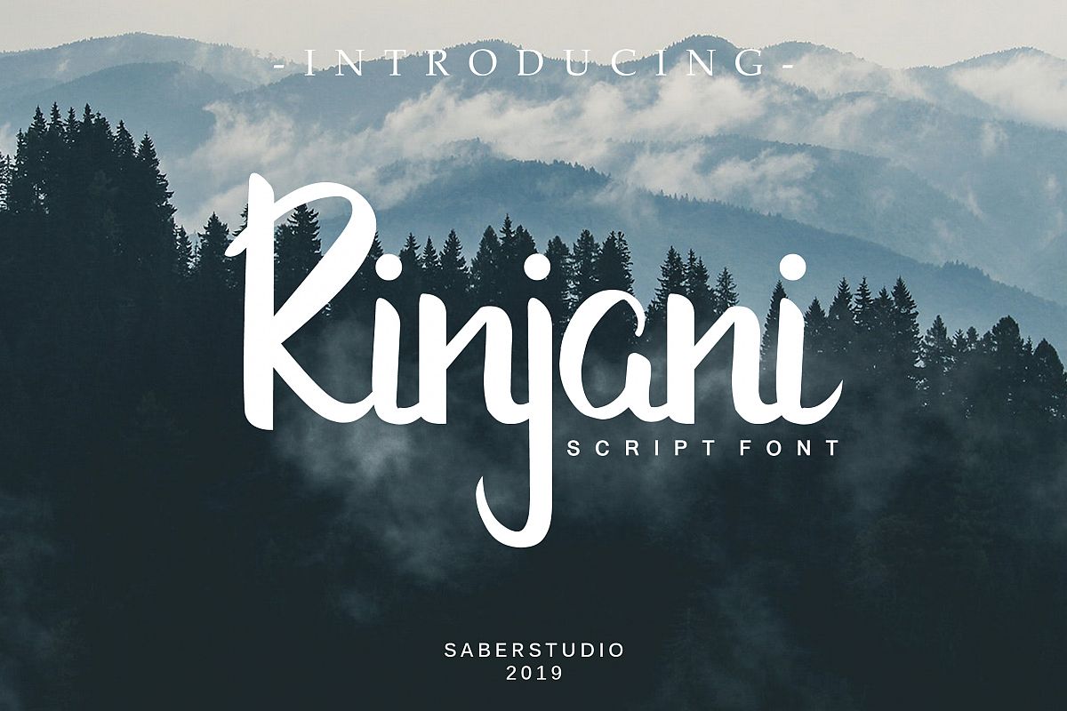 Rinjani example image 1