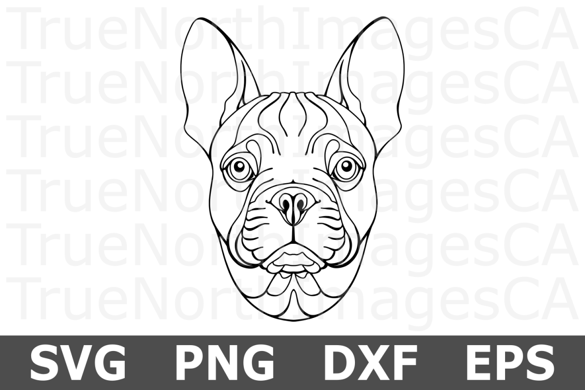 French Bulldog - An Animal SVG Cut File example image 1