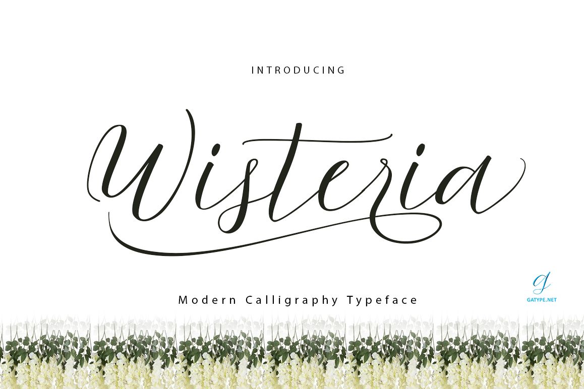 Wisteria Script example image 1