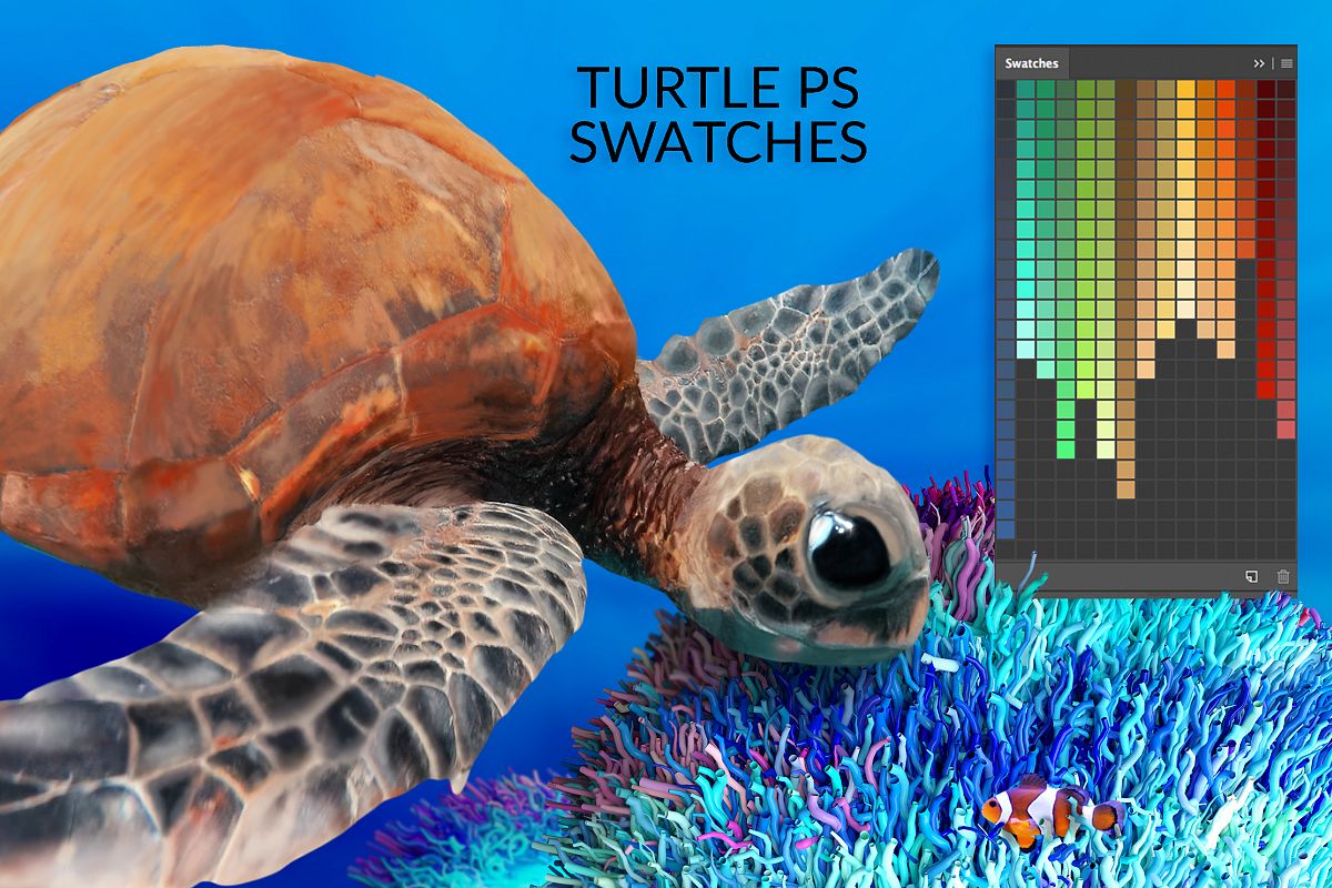 Turtle Swatches & Coral Overlays example image 1