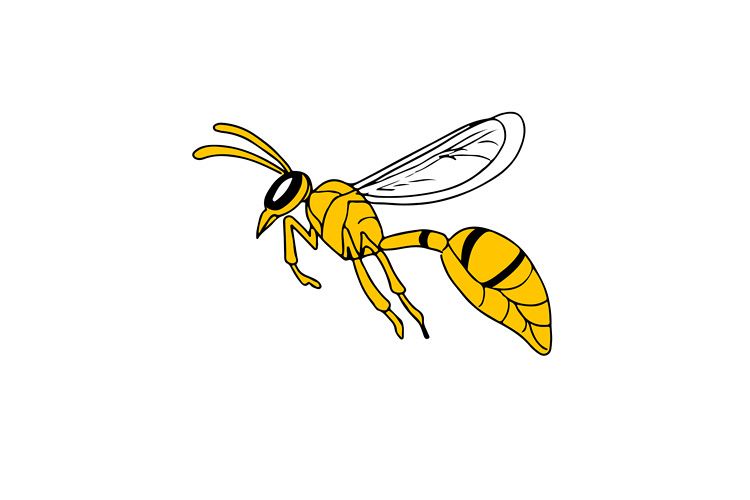 Wasp Flying Drawing example image 1