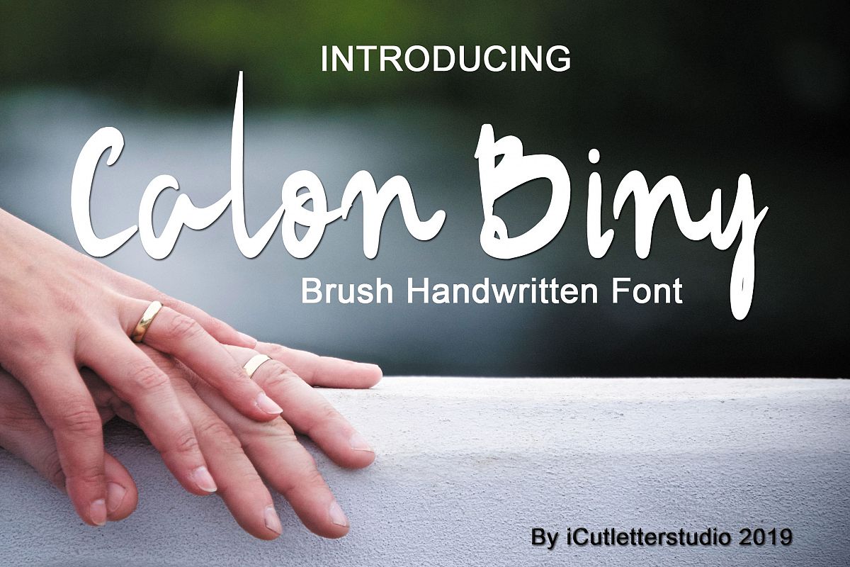 Calon Biny - Brush Handwriteen Font example image 1