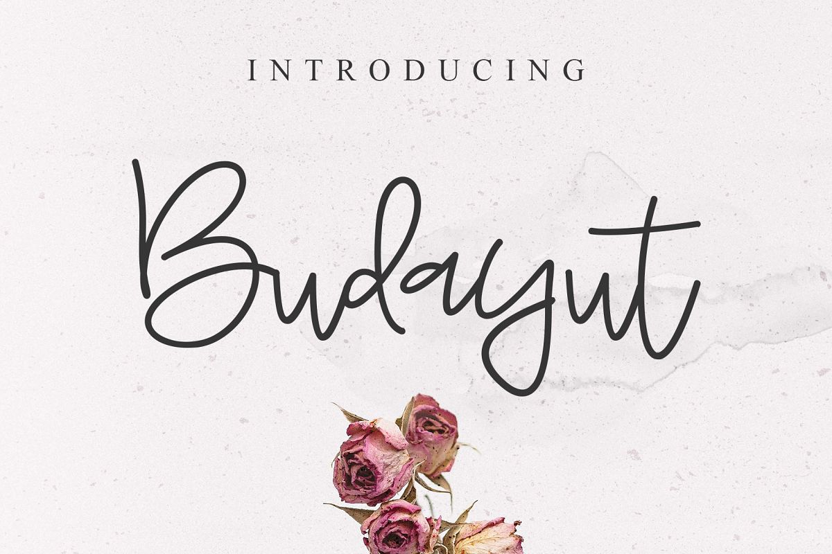 Budayut signature font example image 1