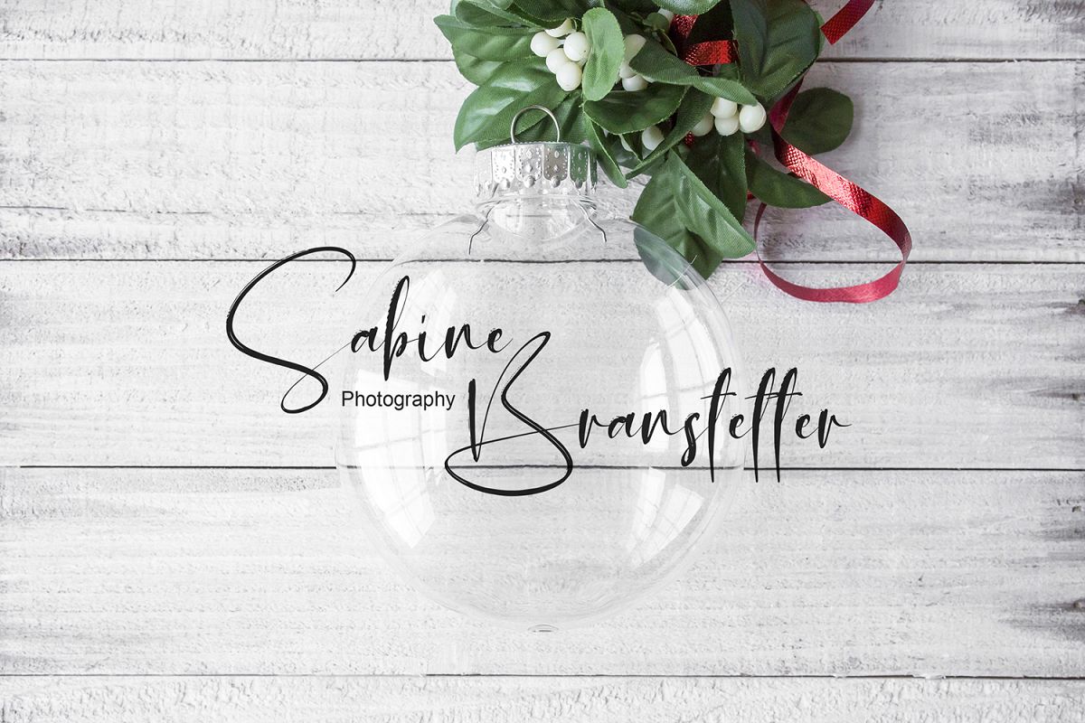 Styled Stock Photography Christmas Disk Ornament Mockup example image 1