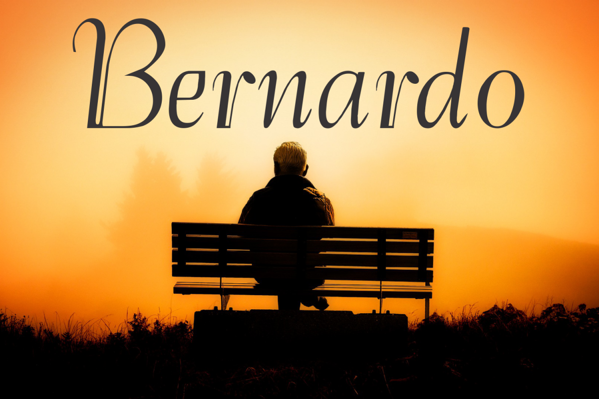 Bernardo (FAMILY PACK PROMOTIONAL) example image 1