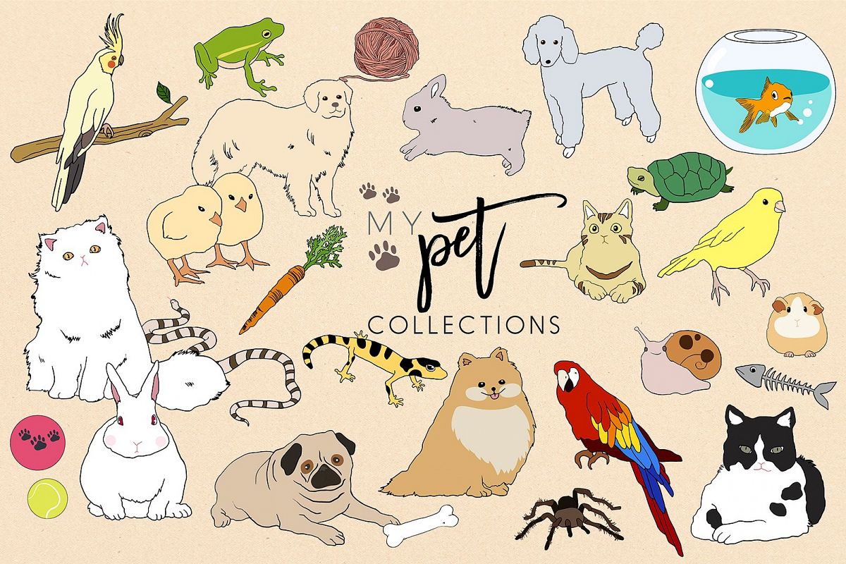 My Pet Collection example image 1