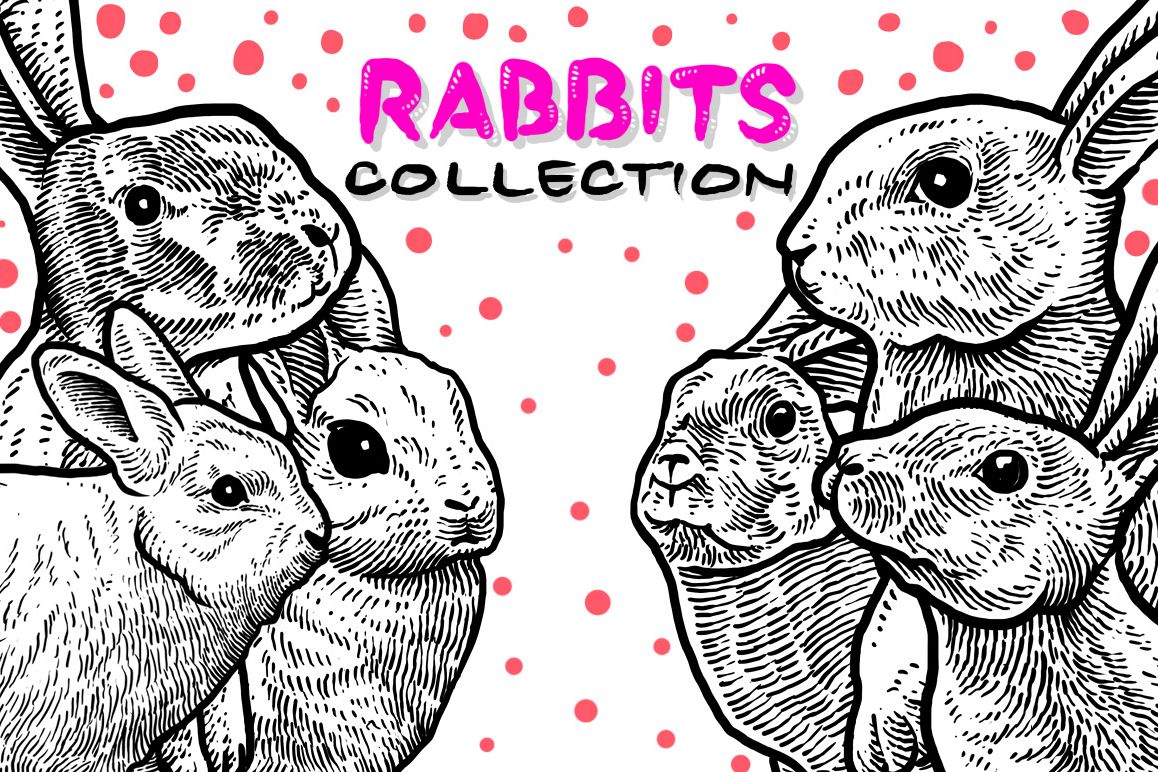Rabbits Collection Art example image 1