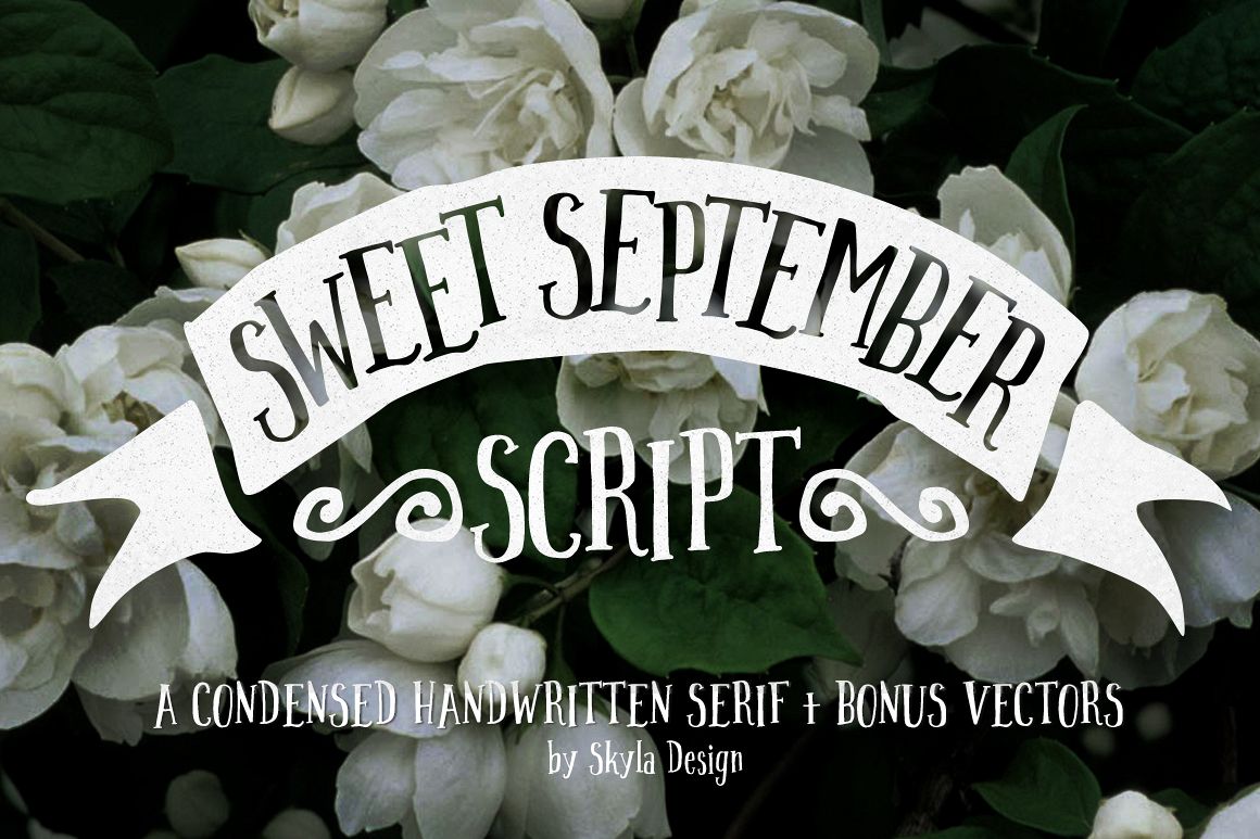 Handwritten font - Sweet September example image 1