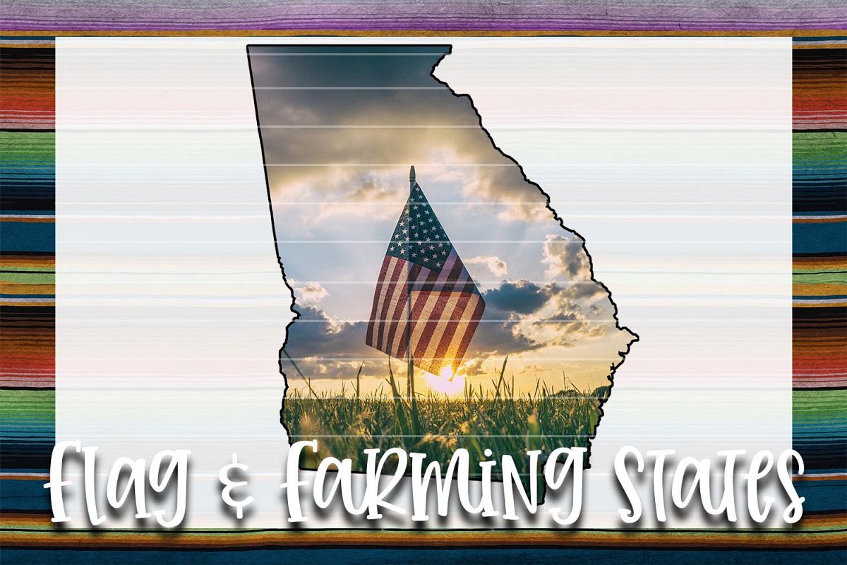 Flag & Farm GA Sublimation Digital Download example image 1
