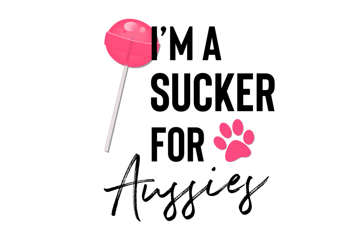 Aussie Dog Australian Shepherd With Sucker PNG Transparent example image 1