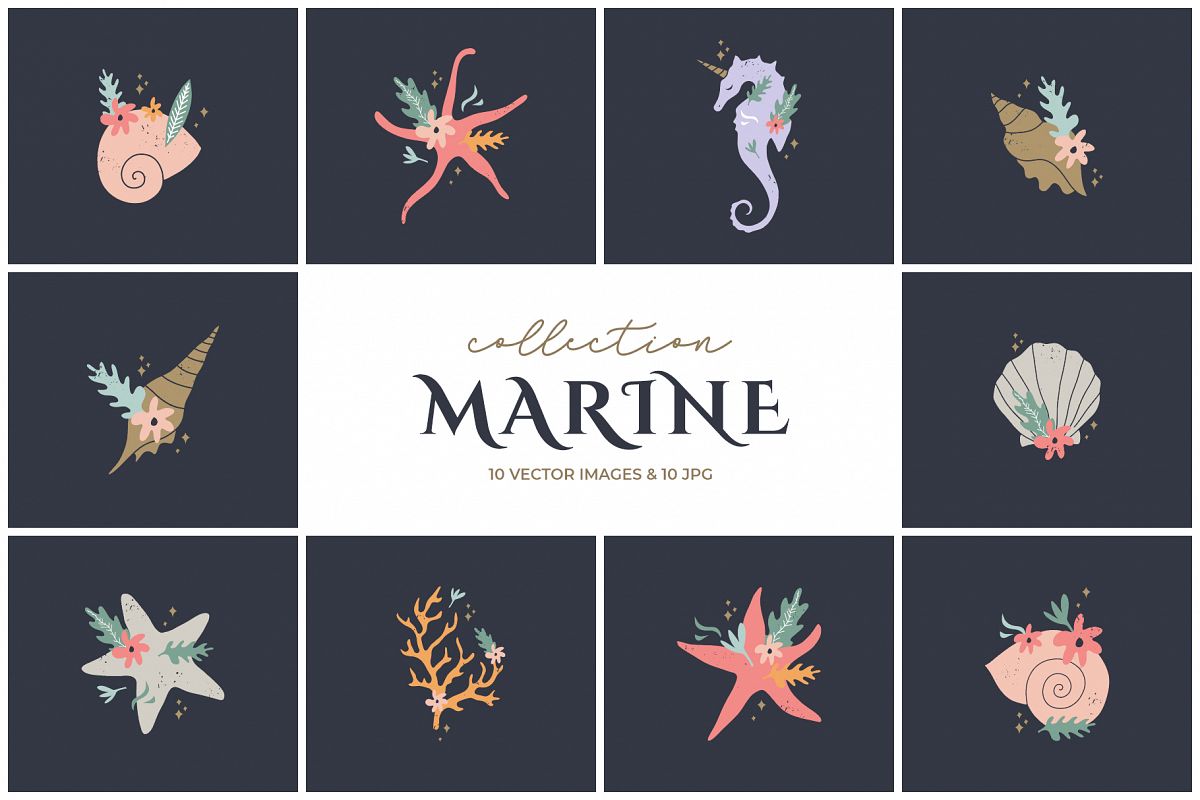 Seashells and sea horse collection example image 1