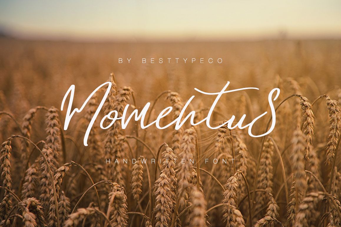 Momentus example image 1