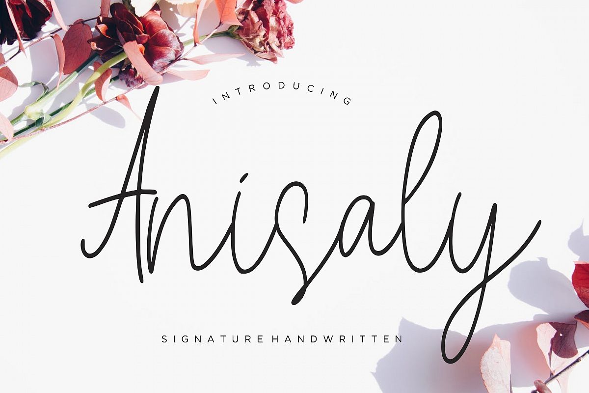 Anisaly Script example image 1
