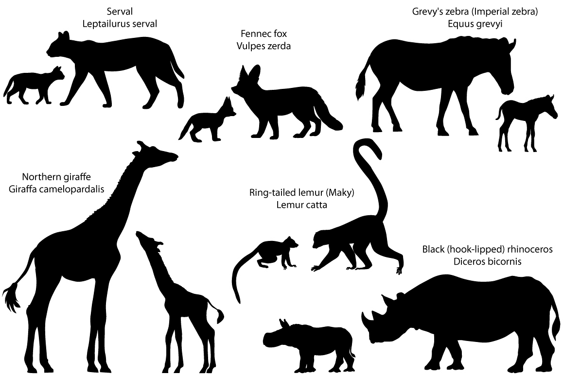 Silhouettes of animals of Africa with cubs example image 1