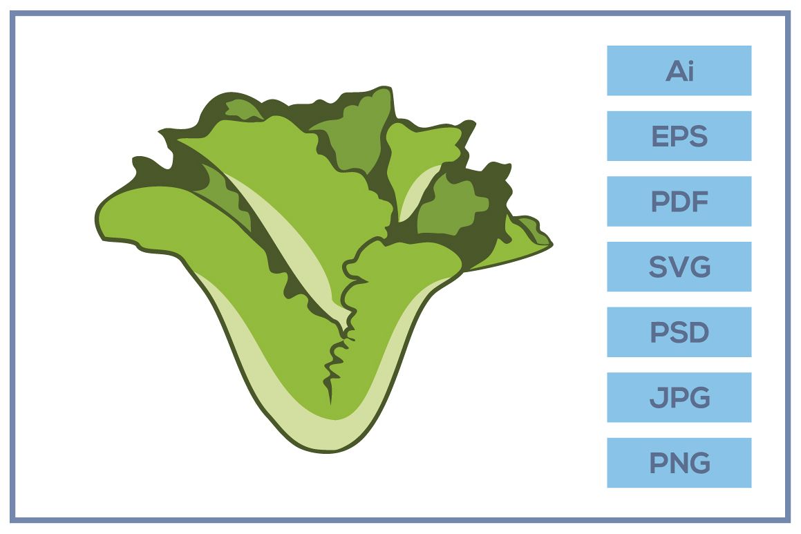 Vector of Lettuce salad design example image 1